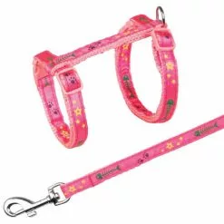 TRIXIE Geschirr, Geschirr Mit Leine, Maße: 23-39 Cm/10 Mm, Bauchumfang: 23-39 Cm, Nylon, Sortiert 8 TRIXIE Geschirr, Geschirr Mit Leine, Maße: 23-39 Cm/10 Mm, Bauchumfang: 23-39 Cm, Nylon, Sortiert -Günstiges Tierbedarf Geschäft unnamed file 10104