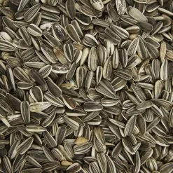 Gartenkrone Alleinfuttermittel, 1 Beutel à 5000 G 6 Gartenkrone Alleinfuttermittel, 1 Beutel à 5000 G -Günstiges Tierbedarf Geschäft unnamed file 10150