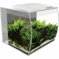 FLUVAL FL Flex Aquarium Set -Günstiges Tierbedarf Geschäft unnamed file 1018