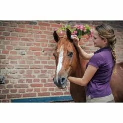 Ballistol Animal Tücher-Spenderbox, 1L -Günstiges Tierbedarf Geschäft unnamed file 10222