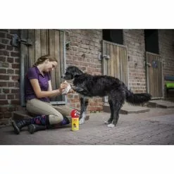 Ballistol Animal Tücher-Spenderbox, 1L -Günstiges Tierbedarf Geschäft unnamed file 10223