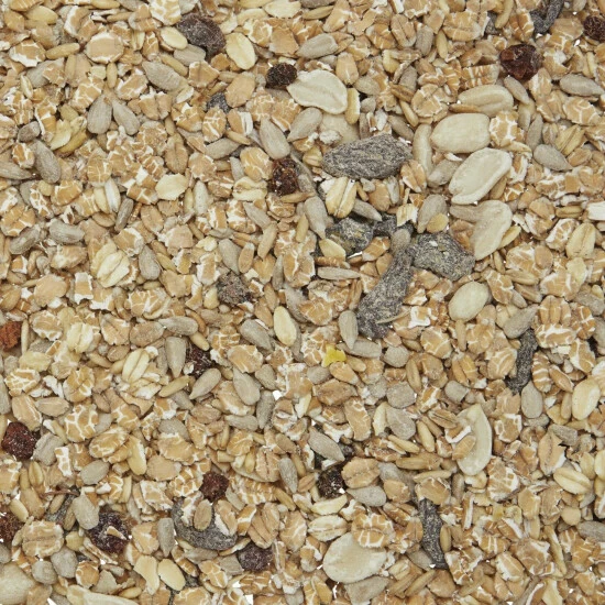 Gartenkrone Vogelfutter, 2,5 Kg 4 Gartenkrone Vogelfutter, 2,5 Kg – Bild 2