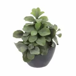 Hundetrockenfutter, 3 Kg -Günstiges Tierbedarf Geschäft unnamed file 10463