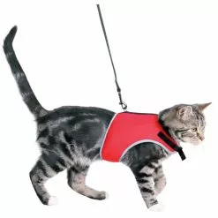 TRIXIE Katzengeschirr »XCat«, Bauchumfang: 24 – 4 Rot -Günstiges Tierbedarf Geschäft unnamed file 10772