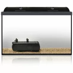 FLUVAL Innenfilter »U-Serie«, 5 W, Für Aquarien Bis: 110 L, Schwarz -Günstiges Tierbedarf Geschäft unnamed file 10791