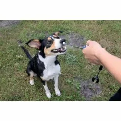 TRIXIE Spielzeug »Target Stick«, Mit Clicker, Schwarz/weiß, Für Hunde, Katzen, Kaninchen, Vögel, Gürtelclip -Günstiges Tierbedarf Geschäft unnamed file 10857