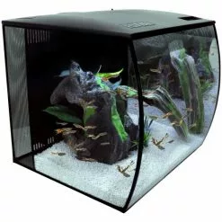 Fluval Flex Aquarium Set 8 Fluval Flex Aquarium Set -Günstiges Tierbedarf Geschäft unnamed file 1101