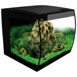 Fluval Flex Aquarium Set 10 Fluval Flex Aquarium Set -Günstiges Tierbedarf Geschäft unnamed file 1103