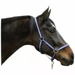 Covalliero Halfter »Hippo«, Passend Für , Gr. 0, Marine/hellblau