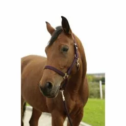 Covalliero Halfter »Hippo«, Passend Für Full, Gr. 3, Aubergine