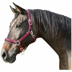 Covalliero Halfter »Mustang«, Passend Für , Gr. 3, Rot/schwarz