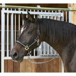 Covalliero Halfter »Mustang«, Passend Für , Gr. 3, Schwarz/silberfarben