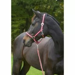 Covalliero Halfter »Hippo«, Passend Für , Gr. 1, Bordeauxrot/beige -Günstiges Tierbedarf Geschäft unnamed file 11064