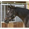 Covalliero Halfter »Mustang«, Passend Für , Gr. 1, Schwarz/silberfarben