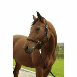 Covalliero Halfter »Hippo«, Passend Für Shetty, Gr. 0, Schwarz