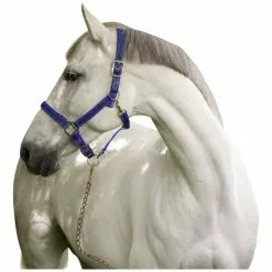 Covalliero Halfter »Mustang«, Passend Für , Gr. 1, Royalblau/schwarz -Günstiges Tierbedarf Geschäft unnamed file 11075