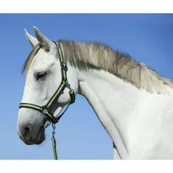 Covalliero Halfter »Hippo«, Passend Für Pony, Gr. 1, Anthrazit/hellgrün