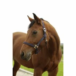 Covalliero Halfter »Hippo«, Passend Für Pony, Gr. 1, Marine
