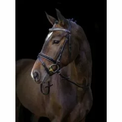 Covalliero Trensenzaum »Kingston«, Schwarz, Leder, Größe -Günstiges Tierbedarf Geschäft unnamed file 11096