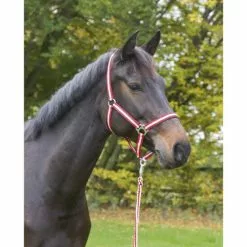 Covalliero Halfter »Hippo«, Passend Für , Gr. 3, Bordeauxrot/beige