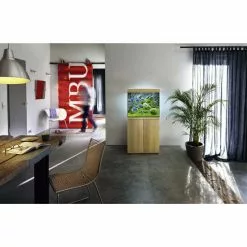 JUWEL AQUARIUM Lido 200 LED SBX Kombination 16 JUWEL AQUARIUM Lido 200 LED SBX Kombination -Günstiges Tierbedarf Geschäft unnamed file 1111