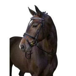 Covalliero Trensenzaum »Kingston«, Schwarz, Leder, Größe -Günstiges Tierbedarf Geschäft unnamed file 11118