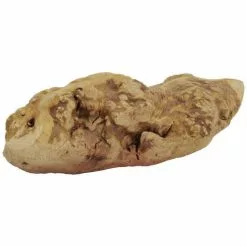 BUNNYNATURE Nager-Kauwurzel »Back To The Roots«, Ca. 60-130 G, Heidekrautwurzeln