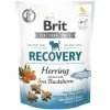 BRIT Hundesnack »Recovery«, 150 G, Hering/Sanddorn -Günstiges Tierbedarf Geschäft unnamed file 11209
