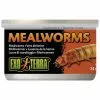 EXO TERRA Reptilienfutter, 34 G, Mehlwurm -Günstiges Tierbedarf Geschäft unnamed file 11579