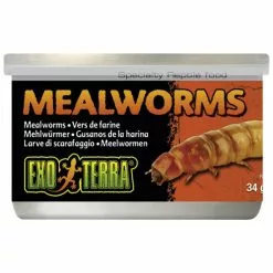 EXO TERRA Reptilienfutter, 34 G, Mehlwurm