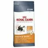 ROYAL CANIN Katzentrockenfutter, 4 Kg -Günstiges Tierbedarf Geschäft unnamed file 11654