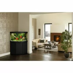 JUWEL AQUARIUM Trigon 190 LED SBX Kombination -Günstiges Tierbedarf Geschäft unnamed file 1166