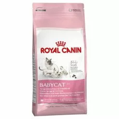 ROYAL CANIN Katzentrockenfutter, 2 Kg