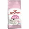 ROYAL CANIN Katzentrockenfutter, 0,4 Kg -Günstiges Tierbedarf Geschäft unnamed file 11710
