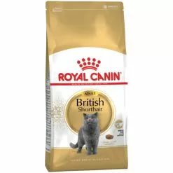 ROYAL CANIN Katzentrockenfutter, 4 Kg