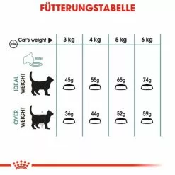 ROYAL CANIN Trockenfutter »FCN Hairball Care«, 4 Kg -Günstiges Tierbedarf Geschäft unnamed file 11740