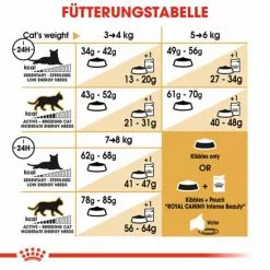 ROYAL CANIN Trockenfutter »FBN Ragdoll Adult«, 2 Kg -Günstiges Tierbedarf Geschäft unnamed file 11745