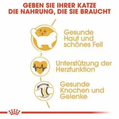 ROYAL CANIN Trockenfutter »FBN Ragdoll Adult«, 2 Kg -Günstiges Tierbedarf Geschäft unnamed file 11746