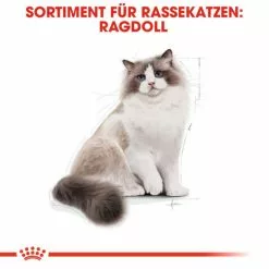 ROYAL CANIN Trockenfutter »FBN Ragdoll Adult«, 2 Kg -Günstiges Tierbedarf Geschäft unnamed file 11747