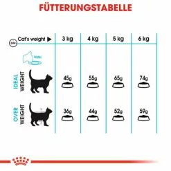 ROYAL CANIN Trockenfutter »FCN Urinary Care«, 4 Kg 10 ROYAL CANIN Trockenfutter »FCN Urinary Care«, 4 Kg -Günstiges Tierbedarf Geschäft unnamed file 11752