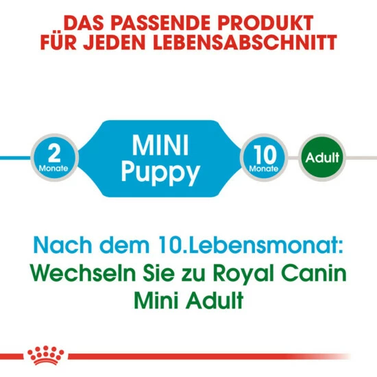 ROYAL CANIN Hundetrockenfutter »SHN«, 8 Kg 7 ROYAL CANIN Hundetrockenfutter »SHN«, 8 Kg – Bild 5