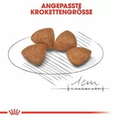 ROYAL CANIN Hundetrockenfutter »SHN«, 1,5 Kg 16 ROYAL CANIN Hundetrockenfutter »SHN«, 1,5 Kg -Günstiges Tierbedarf Geschäft unnamed file 11774