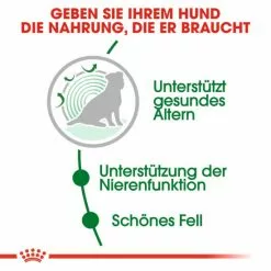 ROYAL CANIN Hundetrockenfutter »SHN«, 1,5 Kg -Günstiges Tierbedarf Geschäft unnamed file 11786