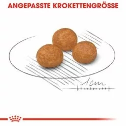 ROYAL CANIN Hundetrockenfutter »SHN«, 3 Kg -Günstiges Tierbedarf Geschäft unnamed file 11803