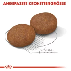 ROYAL CANIN Hundetrockenfutter »SHN«, 15 Kg -Günstiges Tierbedarf Geschäft unnamed file 11825