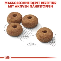 ROYAL CANIN Hundetrockenfutter »CCN«, 3 Kg -Günstiges Tierbedarf Geschäft unnamed file 11839