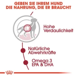 ROYAL CANIN Hunde-Nassfutter »SHN Medium Adult«, 140 G -Günstiges Tierbedarf Geschäft unnamed file 11945