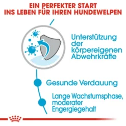 ROYAL CANIN Hunde-Nassfutter »SHN Maxi Puppy«, 140 G -Günstiges Tierbedarf Geschäft unnamed file 11952