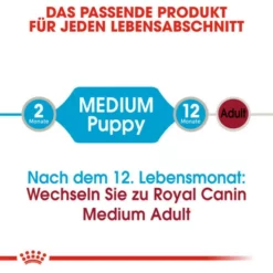 ROYAL CANIN Hunde-Nassfutter »SHN Medium Puppy«, 140 G -Günstiges Tierbedarf Geschäft unnamed file 11975
