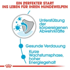 ROYAL CANIN Hunde-Nassfutter »SHN Medium Puppy«, 140 G -Günstiges Tierbedarf Geschäft unnamed file 11978